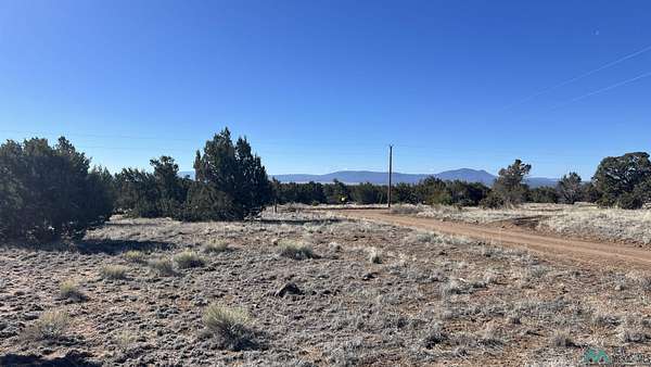 11 Acres of Land for Sale in Quemado, New Mexico
