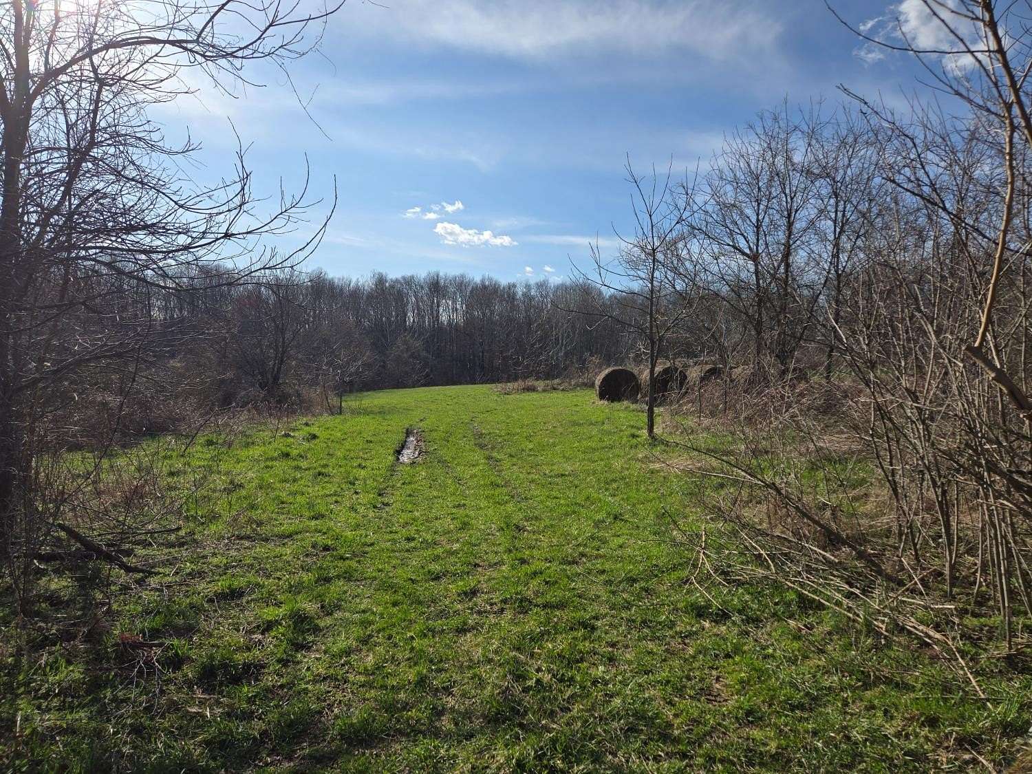 115 Acres of Land for Sale in Laurel, Indiana