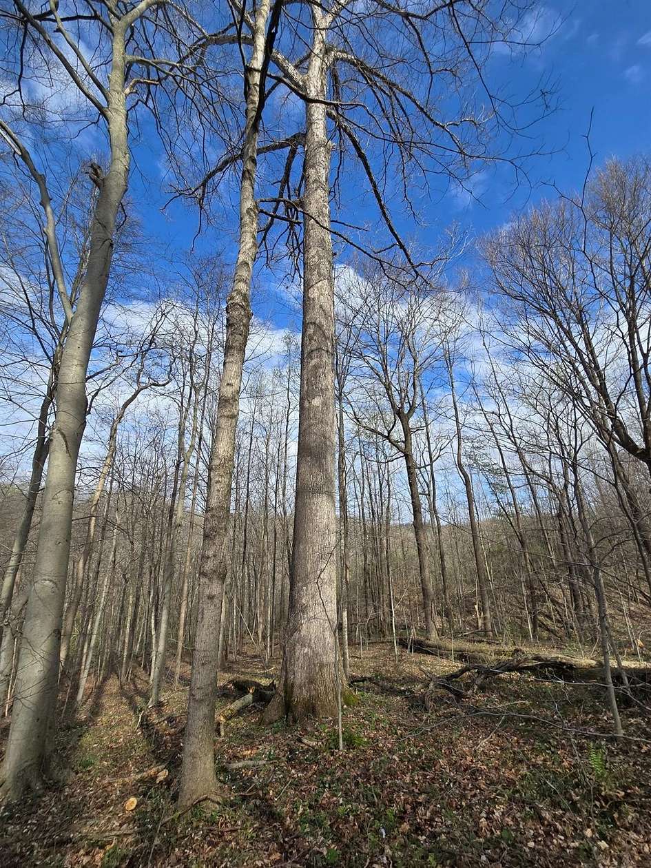 116 Acres of Land for Sale in Laurel, Indiana