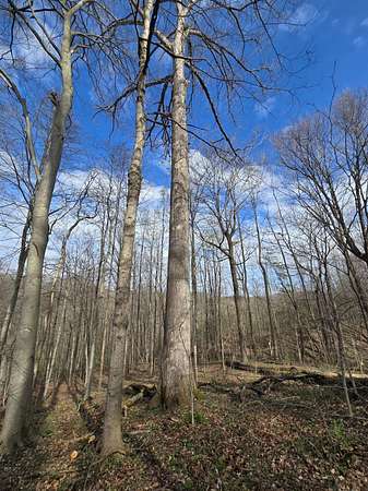 116 Acres of Land for Sale in Laurel, Indiana