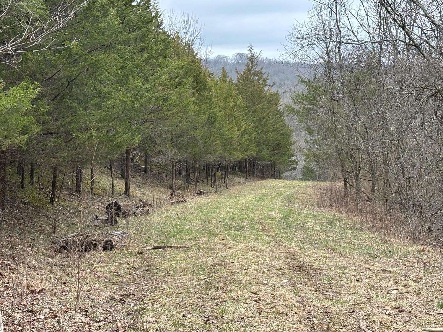 29 Acres of Land for Sale in Brookville, Indiana