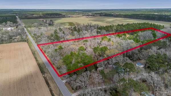 10.1 Acres of Land for Sale in McDavid, Florida