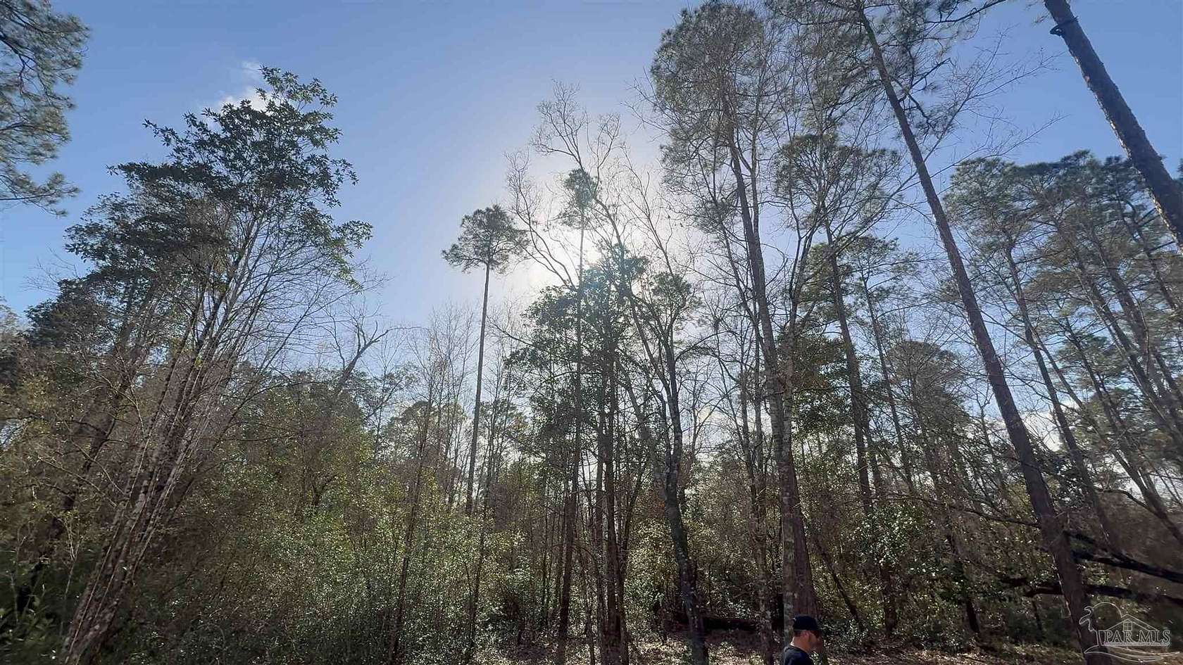 15 Acres of Recreational Land for Sale in Milton, Florida