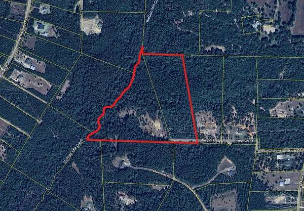 33.8 Acres of Recreational Land for Sale in Milton, Florida
