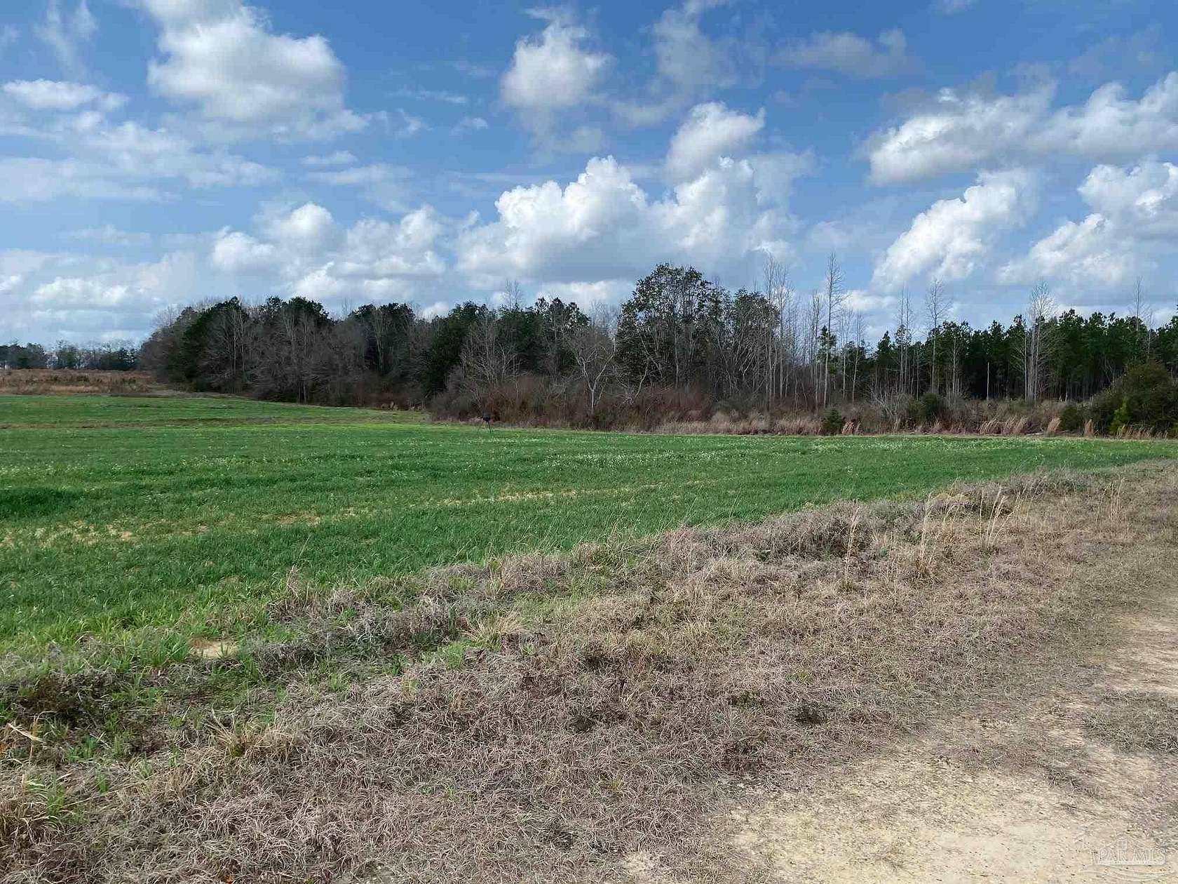 32 Acres of Agricultural & Residential Land for Sale in Jay, Florida
