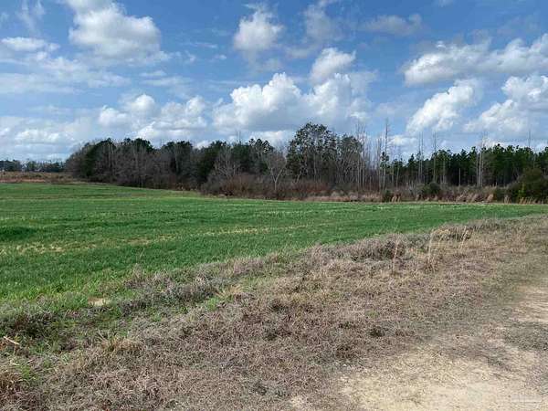 32 Acres of Agricultural & Residential Land for Sale in Jay, Florida