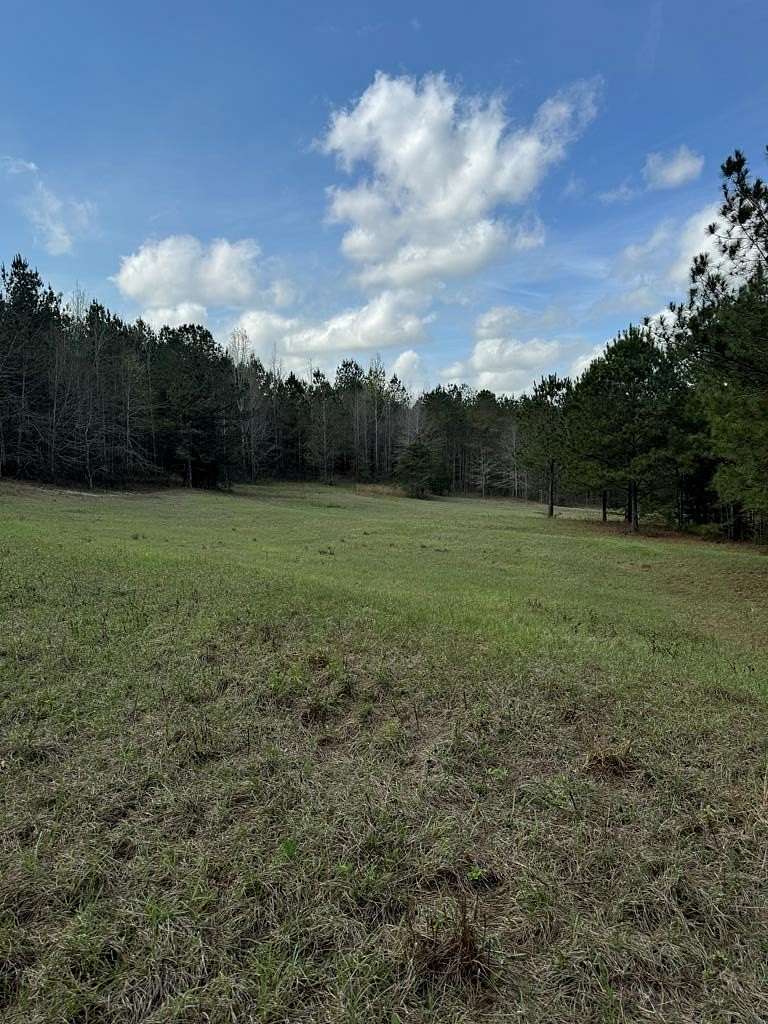 87.8 Acres of Recreational Land for Sale in Louisville, Alabama