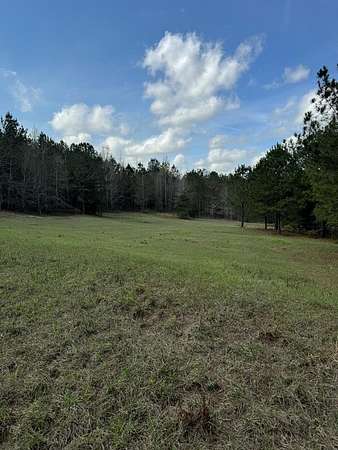 87.8 Acres of Recreational Land for Sale in Louisville, Alabama