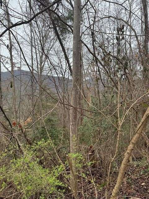 0.95 Acres of Residential Land for Sale in Cosby, Tennessee