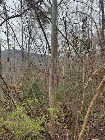 0.95 Acres of Residential Land for Sale in Cosby, Tennessee