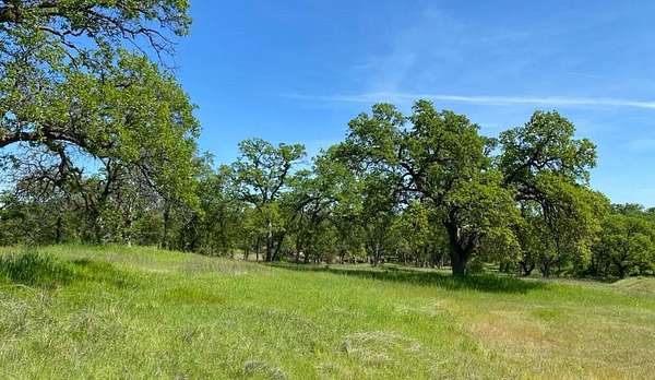 3.62 Acres of Residential Land for Sale in Cottonwood, California