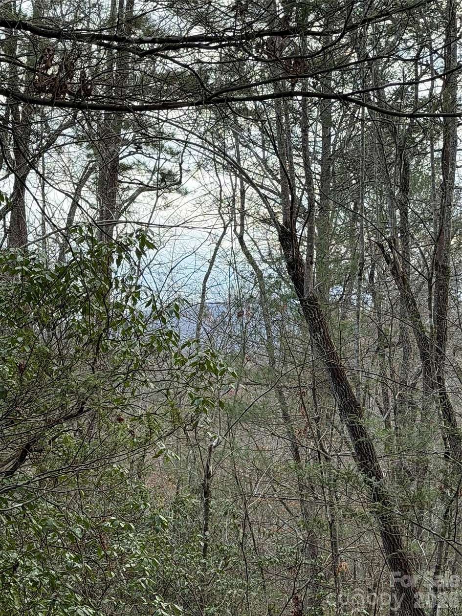 25.2 Acres of Land for Sale in Old Fort, North Carolina