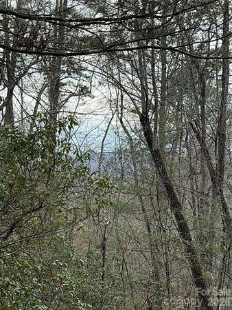 25.2 Acres of Land for Sale in Old Fort, North Carolina