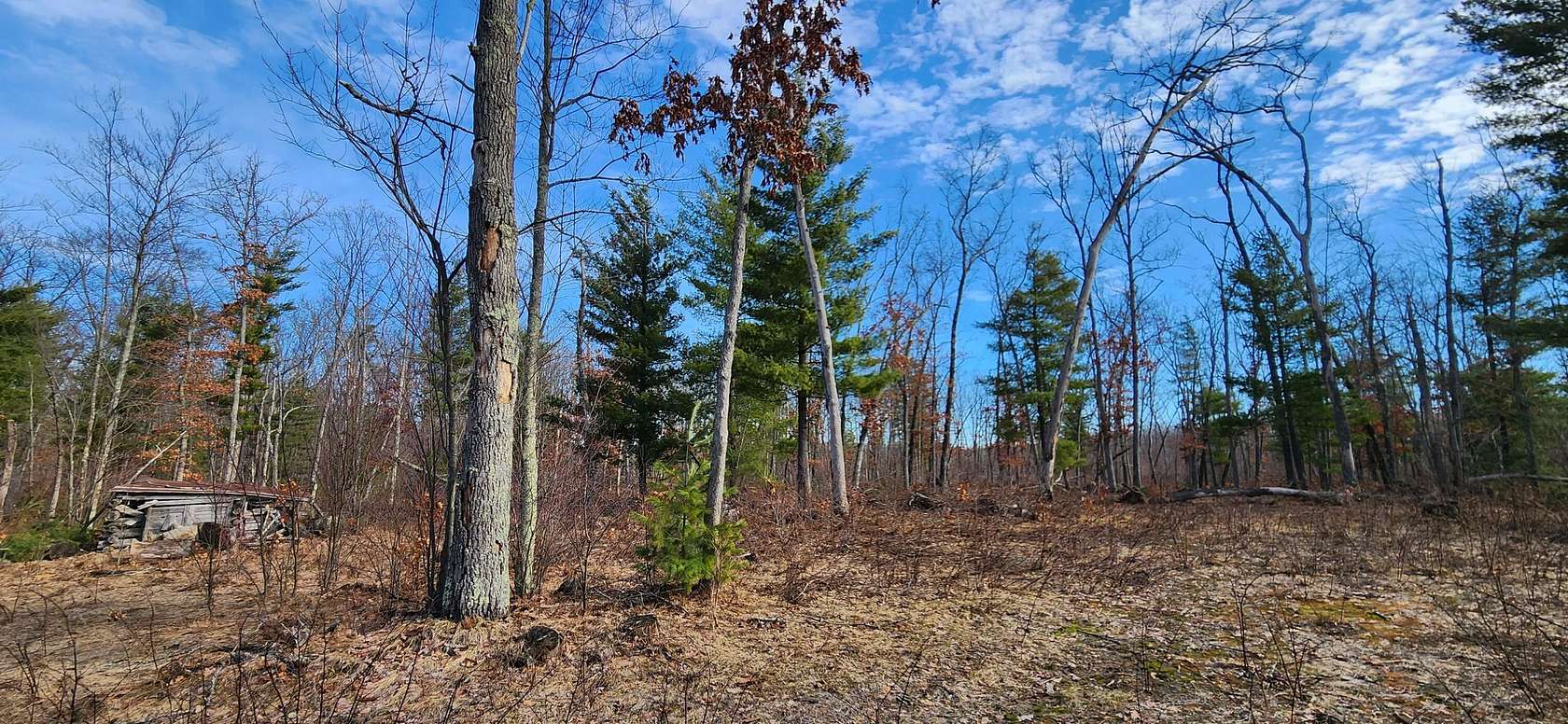 10 Acres of Mixed-Use Land for Sale in White Cloud, Michigan