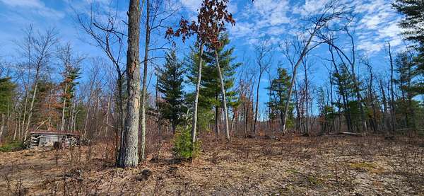 10 Acres of Mixed-Use Land for Sale in White Cloud, Michigan