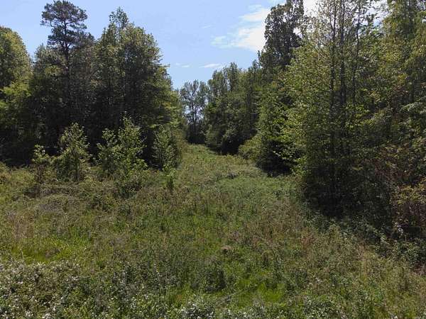 10 Acres of Residential Land for Sale in Rose Bud, Arkansas