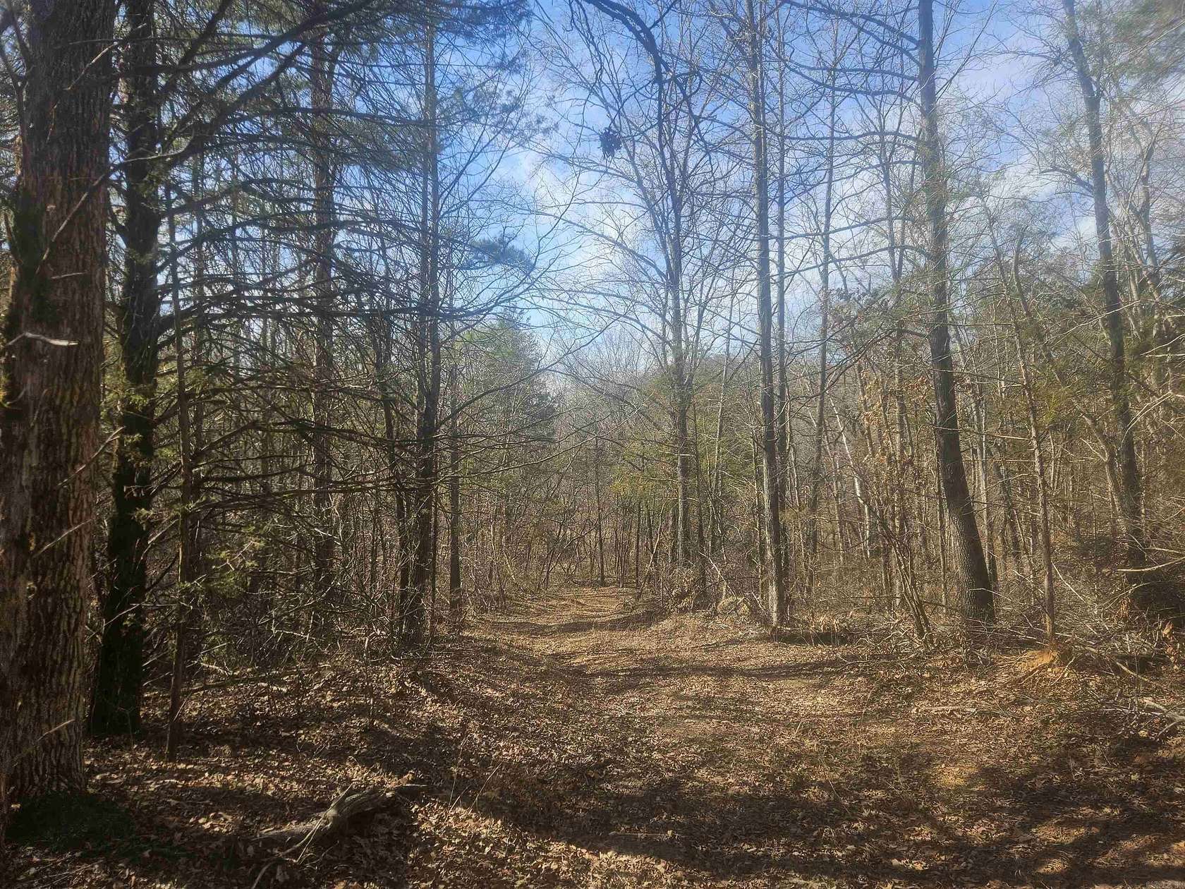 109 Acres of Recreational Land for Sale in Big Flat, Arkansas