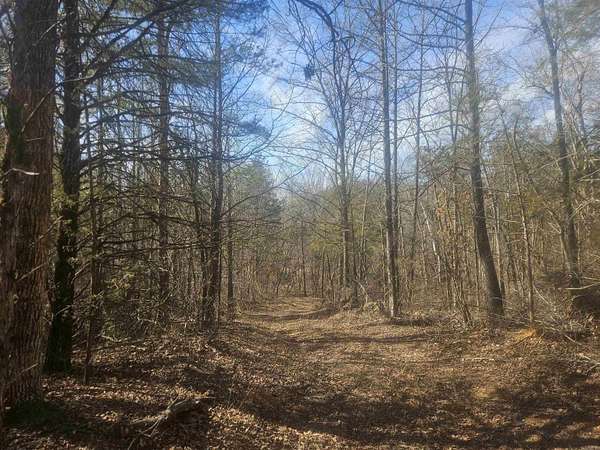 109 Acres of Recreational Land for Sale in Big Flat, Arkansas