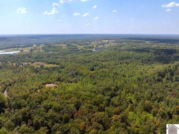 74 Acres of Recreational & Residential Land for Sale in New Concord, Kentucky