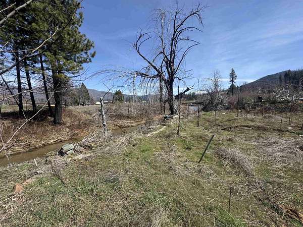 0.2 Acres of Residential Land for Sale in Greenville, California