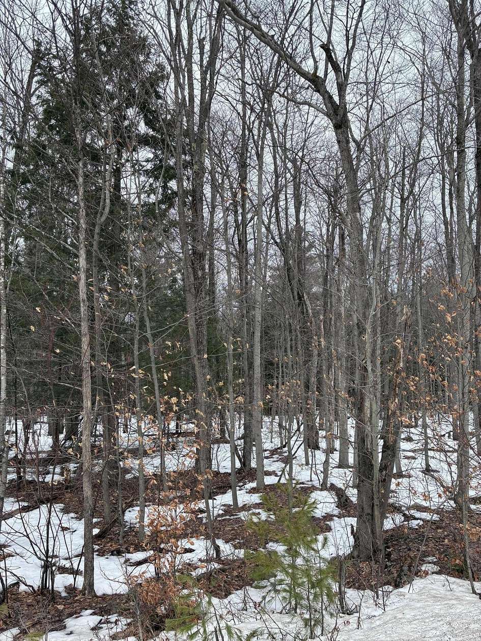 10 Acres of Recreational Land for Sale in Saranac, New York