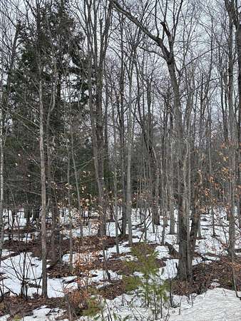 10 Acres of Recreational Land for Sale in Saranac, New York