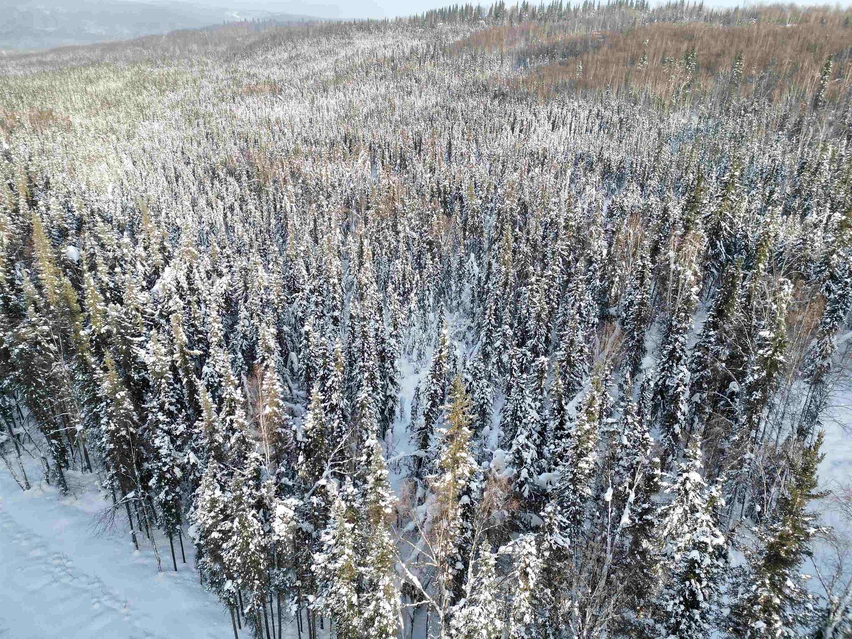 3.84 Acres of Land for Sale in Fairbanks, Alaska