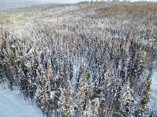 3.84 Acres of Residential Land for Sale in Fairbanks, Alaska