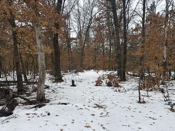5 Acres of Land for Sale in Baldwin, Michigan