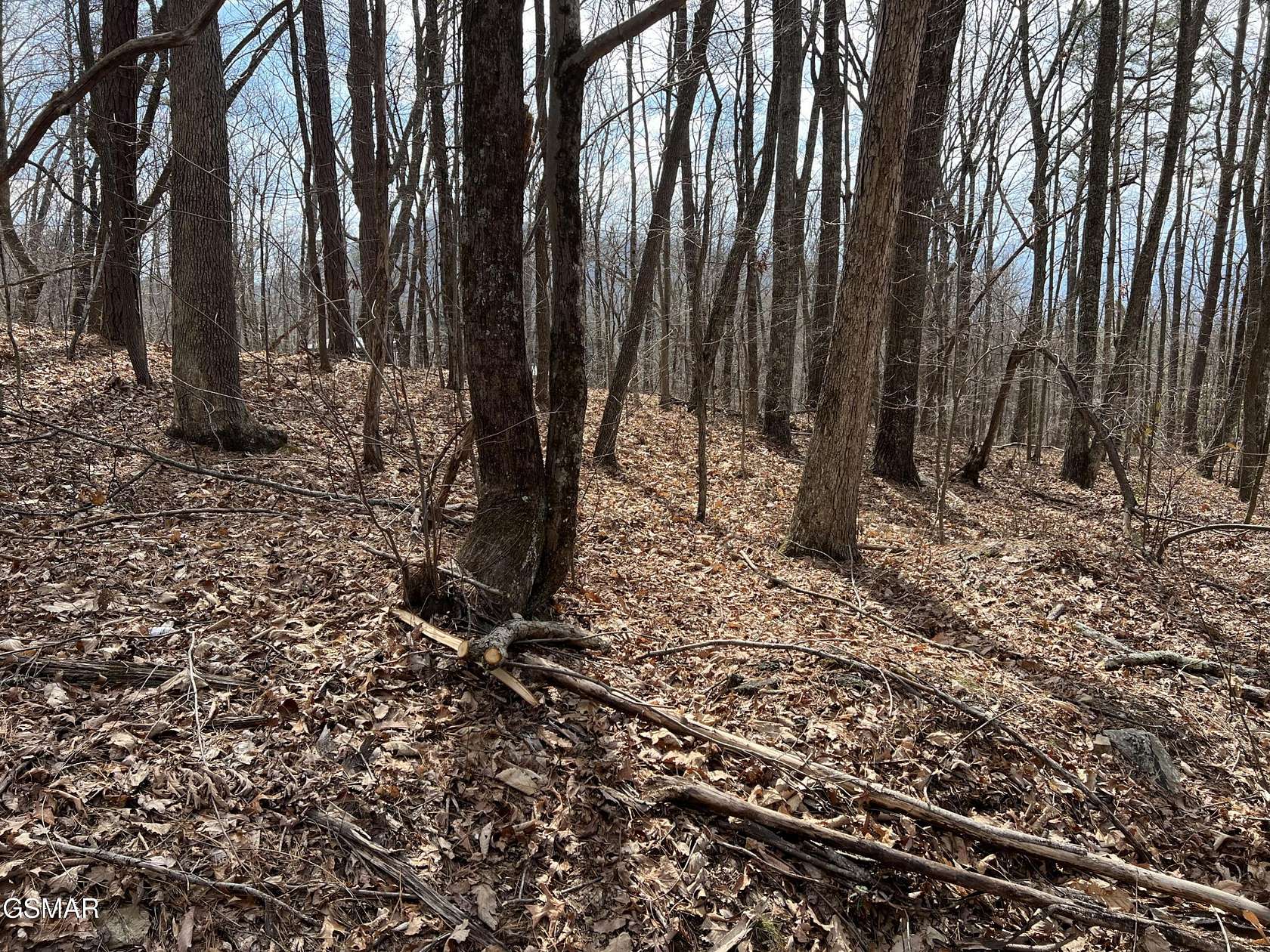 0.26 Acres of Residential Land for Sale in Sevierville, Tennessee