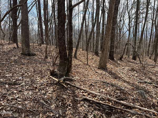 0.26 Acres of Residential Land for Sale in Sevierville, Tennessee