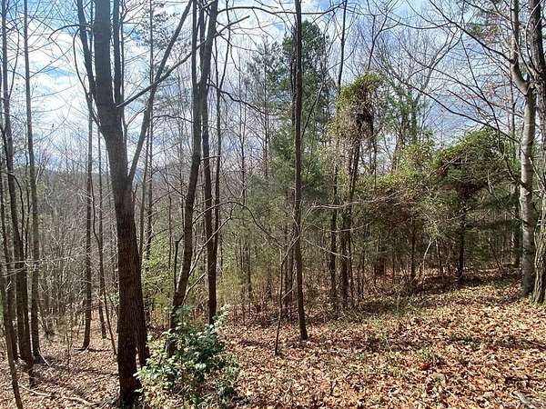 Residential Land for Sale in Murphy, North Carolina