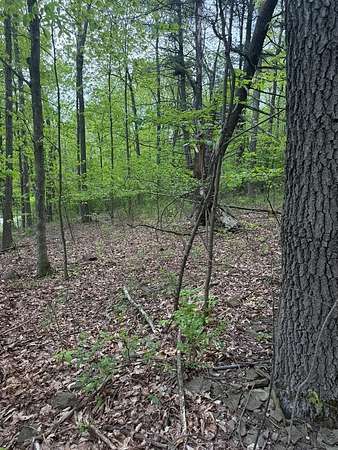 4.1 Acres of Residential Land for Sale in Athens, Pennsylvania