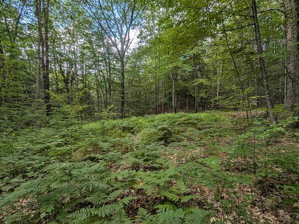 1.1 Acres of Residential Land for Sale in Wilton, New Hampshire