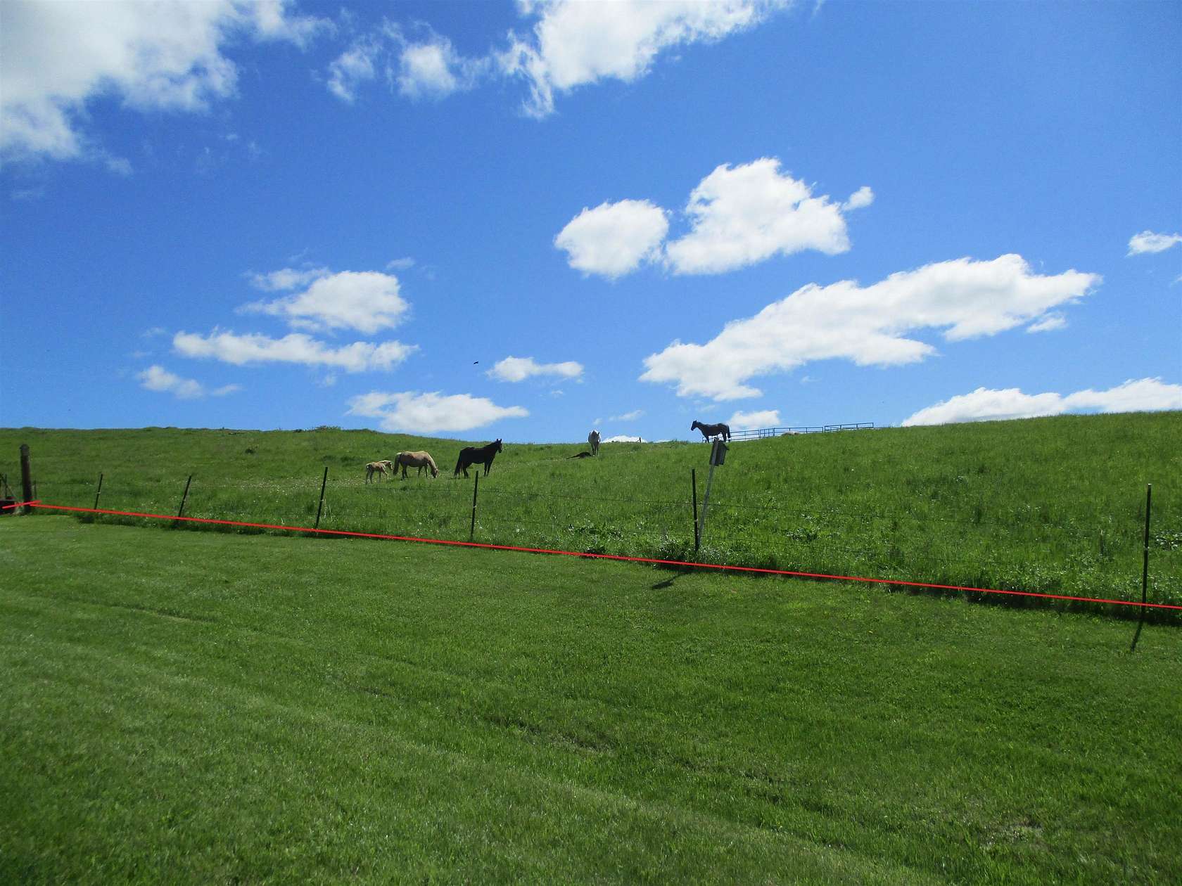 13.1 Acres of Land for Sale in Elroy, Wisconsin