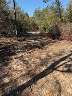 0.86 Acres of Residential Land for Sale in DeFuniak Springs, Florida