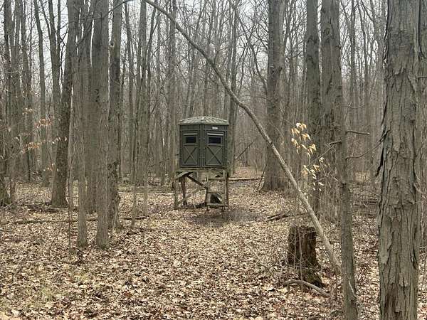 49.9 Acres of Land for Sale in Pittsford, Michigan