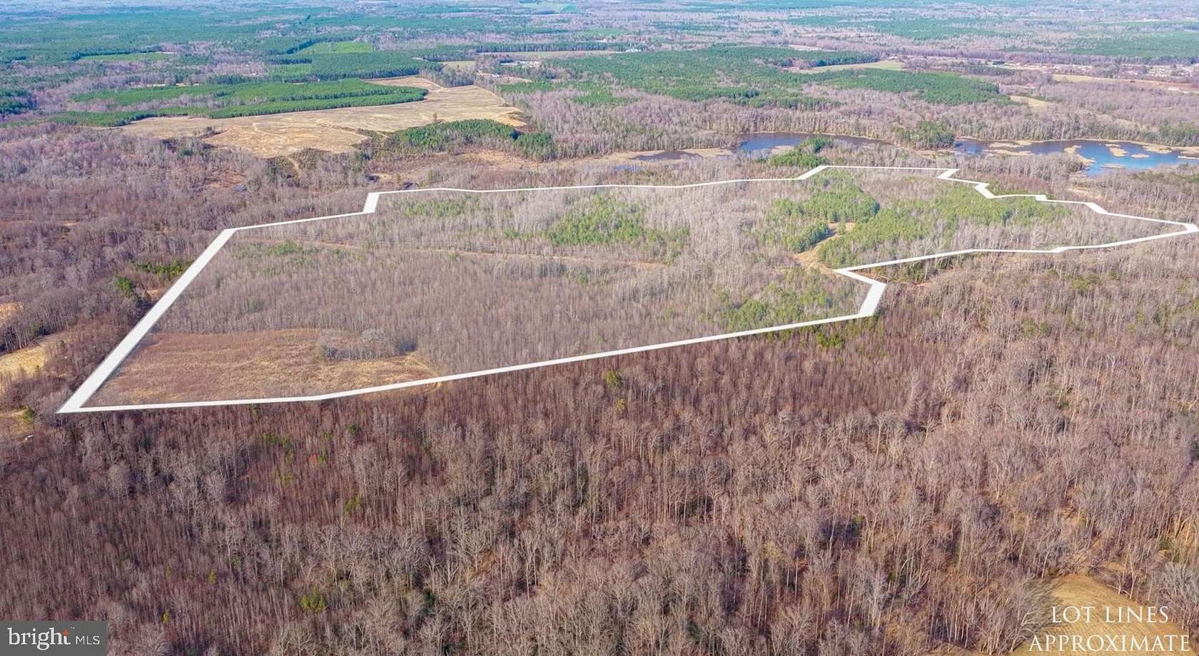 241 Acres of Recreational Land for Sale in Colonial Beach, Virginia