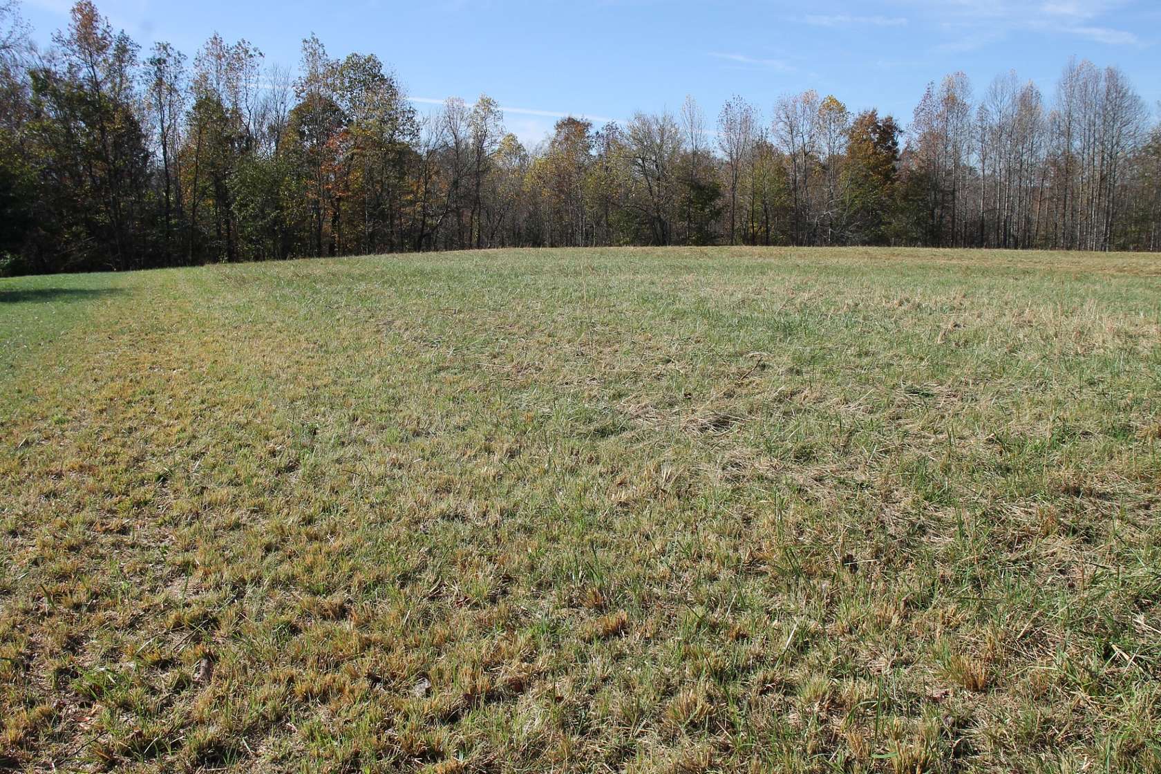 13 Acres of Land for Sale in Bethpage, Tennessee