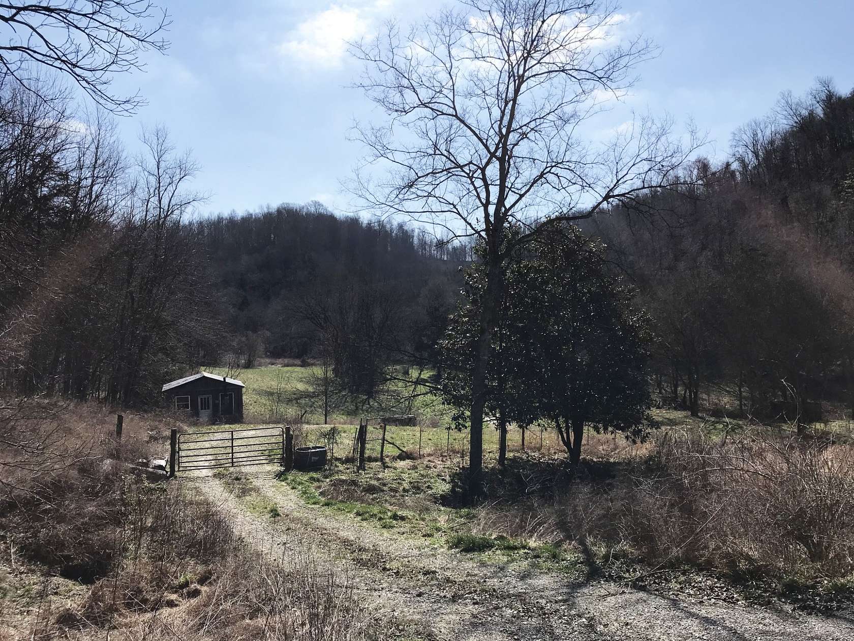 336 Acres of Land for Sale in Beechgrove, Tennessee