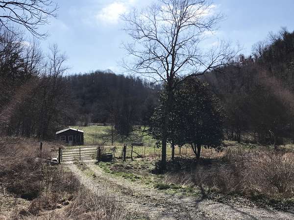 336 Acres of Land for Sale in Beechgrove, Tennessee