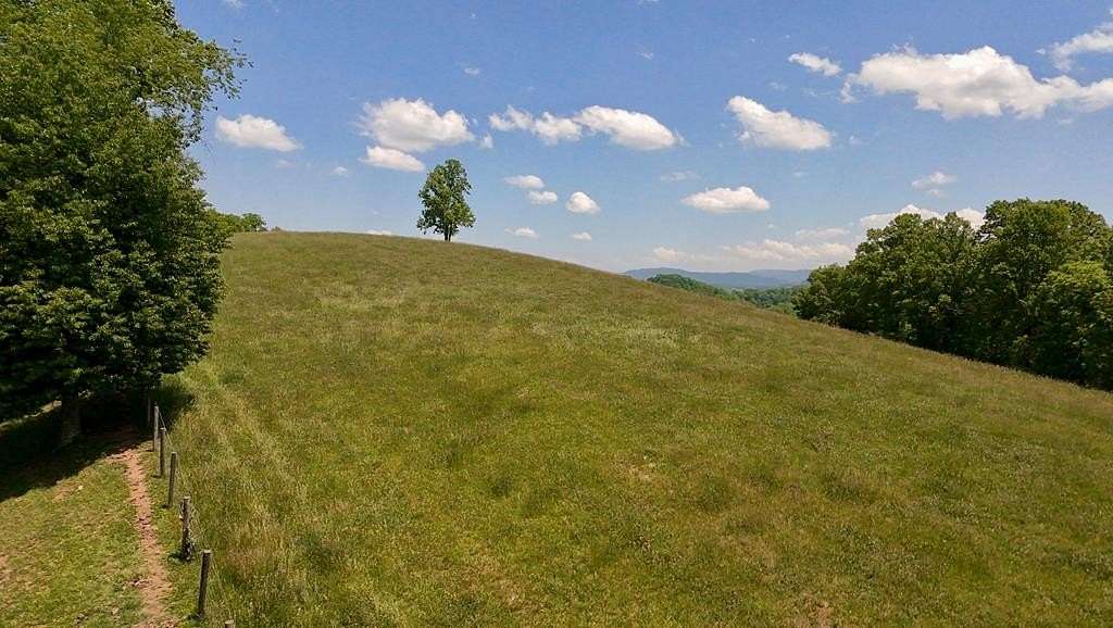 225 Acres of Land for Sale in Honaker, Virginia