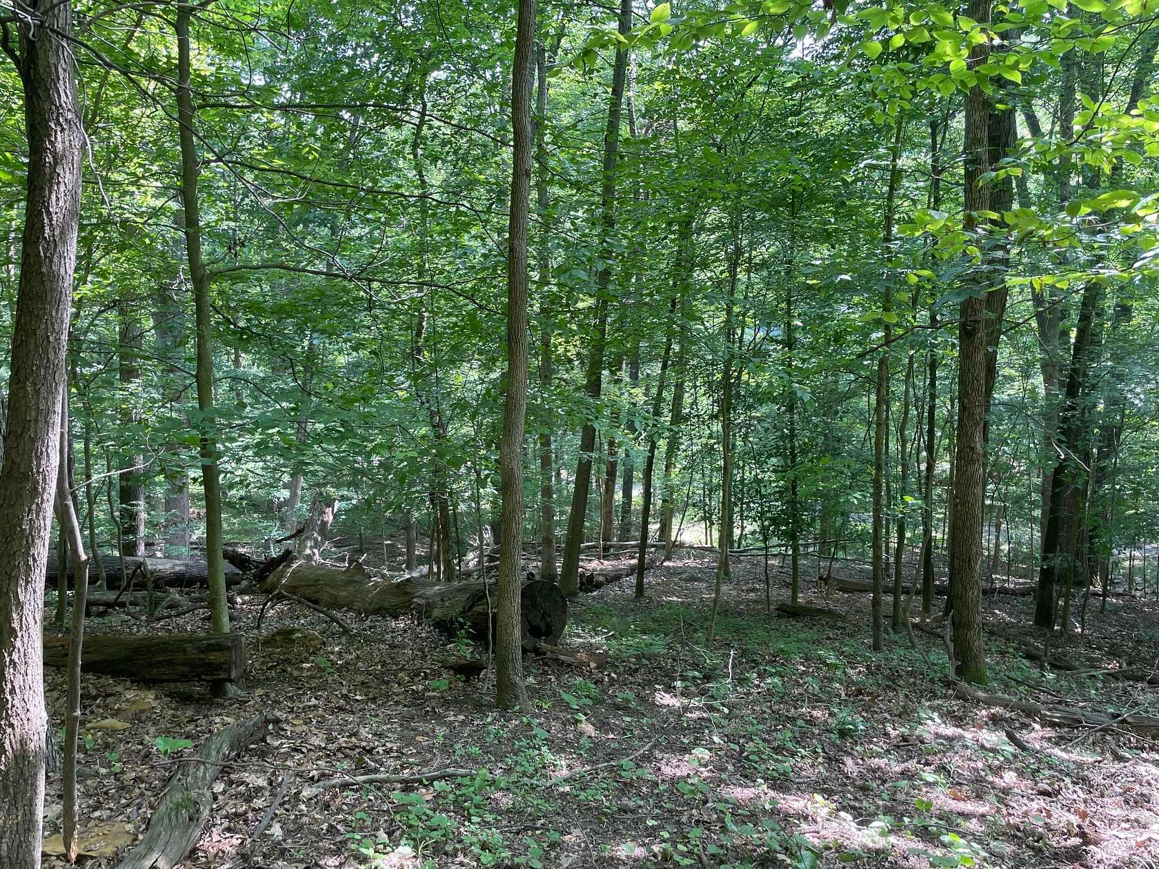 0.75 Acres of Residential Land for Sale in Sugar Grove, Ohio