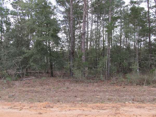 0.23 Acres of Residential Land for Sale in DeFuniak Springs, Florida