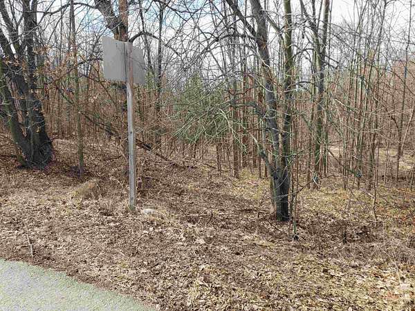 4.34 Acres of Residential Land for Sale in Pulaski, Wisconsin