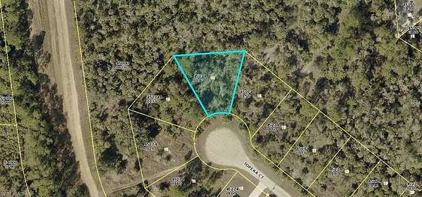 0.29 Acres of Residential Land for Sale in Lehigh Acres, Florida