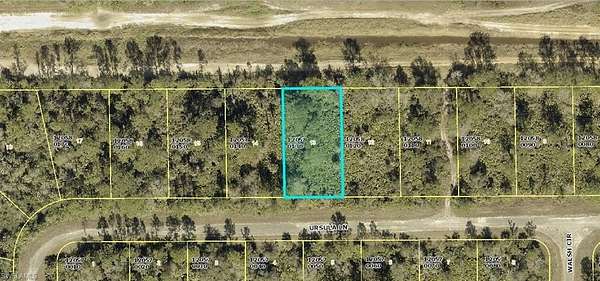 0.28 Acres of Residential Land for Sale in Lehigh Acres, Florida