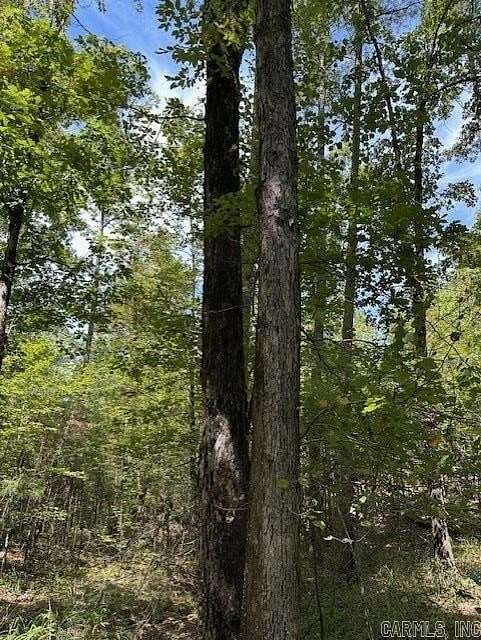 40.5 Acres of Recreational Land for Sale in Roland, Arkansas