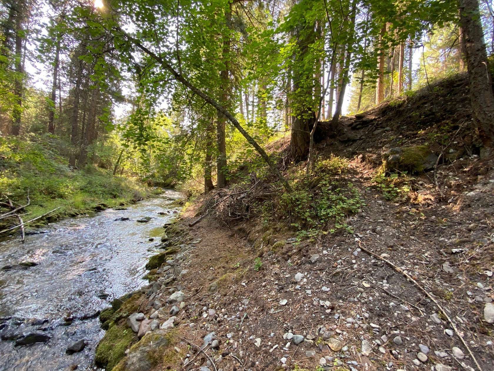 1.1 Acres of Residential Land for Sale in Thompson Falls, Montana