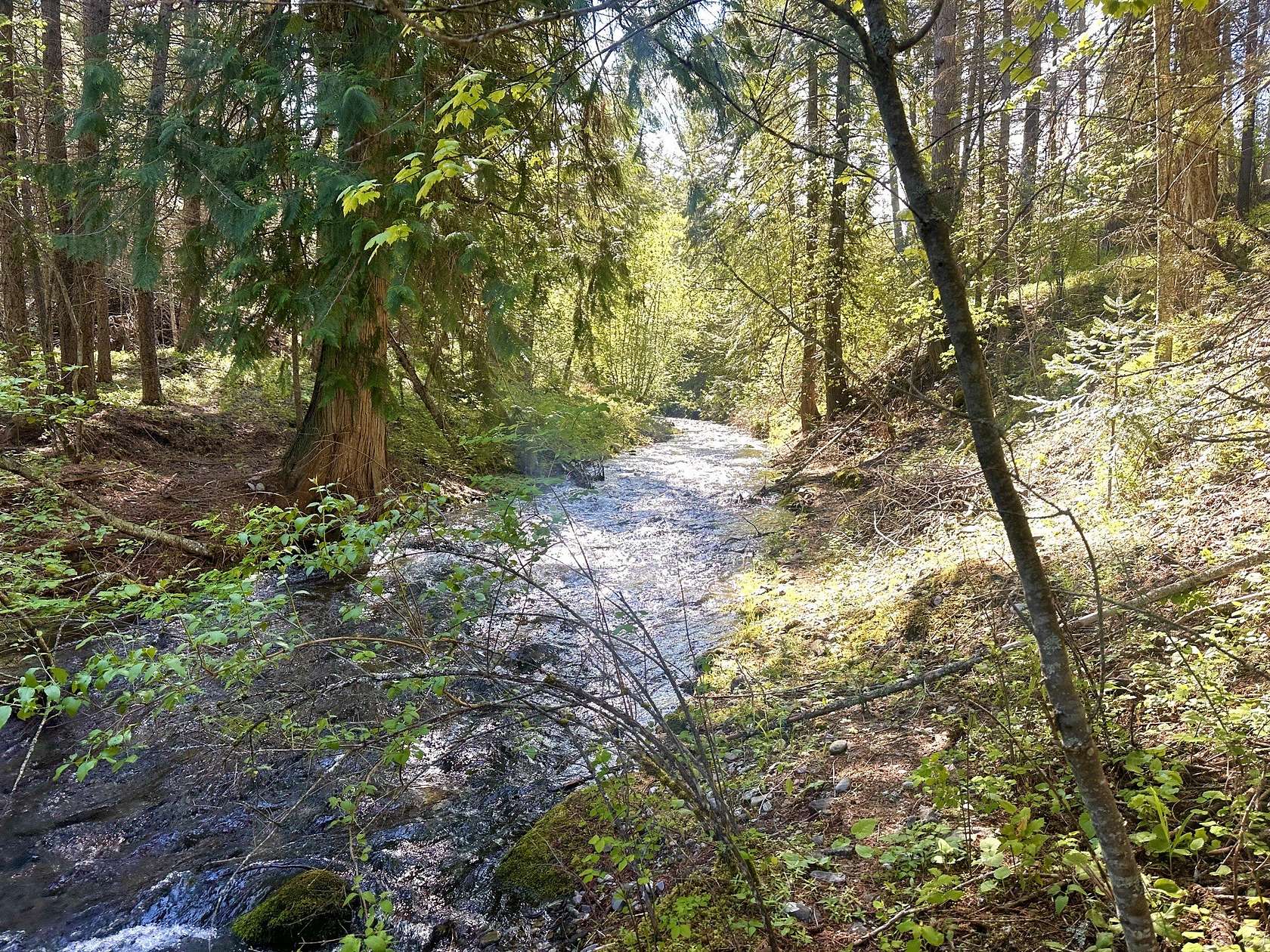 1.1 Acres of Residential Land for Sale in Thompson Falls, Montana
